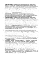 Informatikos paskaitų konspektas  6 puslapis