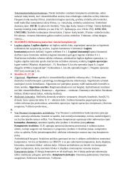 Informatikos paskaitų konspektas  7 puslapis