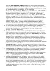 Informatikos paskaitų konspektas  10 puslapis