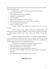 RVAVST sistemos diegimas 11 puslapis