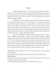 RVAVST sistemos diegimas 3 puslapis