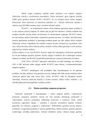 RVAVST sistemos diegimas 6 puslapis