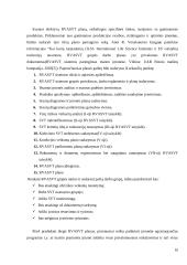 RVAVST sistemos diegimas 10 puslapis