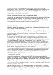 Černobilis 11 puslapis