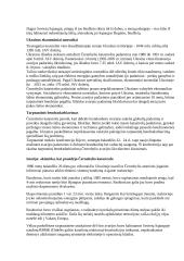 Černobilis 3 puslapis