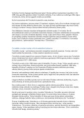 Černobilis 5 puslapis