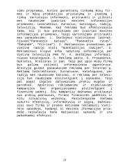 Verslo plano reziumė 13 puslapis