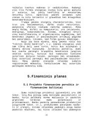 Verslo plano reziumė 15 puslapis