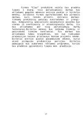 Verslo plano reziumė 17 puslapis