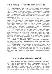 Verslo plano reziumė 10 puslapis