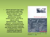 Rusų herojinis epas 3 puslapis