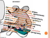 Informacijos apsaugos principai 12 puslapis
