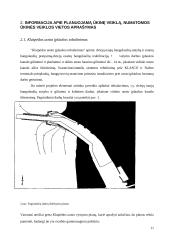 Klaipėdos uosto įplaukos rekonstrukcijos poveikio aplinkai vertinimas 12 puslapis