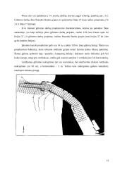 Klaipėdos uosto įplaukos rekonstrukcijos poveikio aplinkai vertinimas 14 puslapis