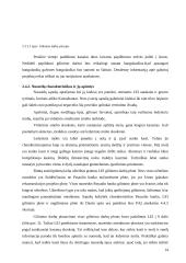 Klaipėdos uosto įplaukos rekonstrukcijos poveikio aplinkai vertinimas 15 puslapis