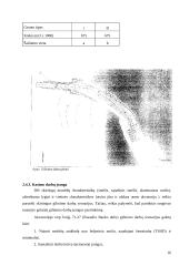 Klaipėdos uosto įplaukos rekonstrukcijos poveikio aplinkai vertinimas 17 puslapis