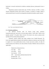 Klaipėdos uosto įplaukos rekonstrukcijos poveikio aplinkai vertinimas 19 puslapis