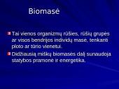 Energijos šaltiniai. Pristatymas 7 puslapis
