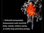 Romantizmas Lietuvoje. Istorija 4 puslapis