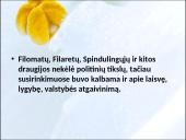 Romantizmas Lietuvoje. Istorija 8 puslapis