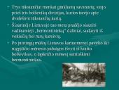 Nepriklausomybės kovos Lietuvoje 3 puslapis