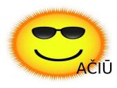 Saulės užtemimas. Pristatymas 11 puslapis