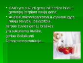GMO(genetiškai modifikuoti organizmai) 4 puslapis