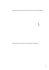 Santykiniai įmonės finansinės būklės vertinimo rodikliai 13 puslapis