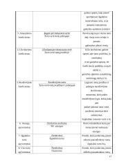 Santykiniai įmonės finansinės būklės vertinimo rodikliai 15 puslapis