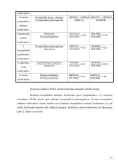 Santykiniai įmonės finansinės būklės vertinimo rodikliai 20 puslapis