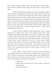 Strateginio valdymo raida ir esmė 4 puslapis