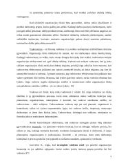 Strateginio valdymo raida ir esmė 8 puslapis