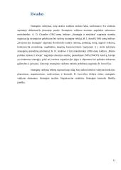 Strateginio valdymo raida ir esmė 10 puslapis