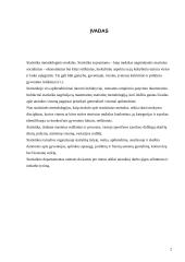 Statistikos pagrindai 2 puslapis