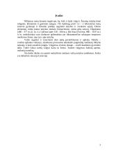 Vaikų mityba 3 puslapis