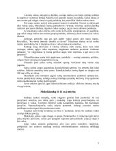 Vaikų mityba 5 puslapis