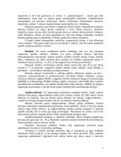 Vaikų mityba 7 puslapis