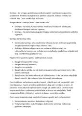 Dorothea Orem slaugos modelis 6 puslapis