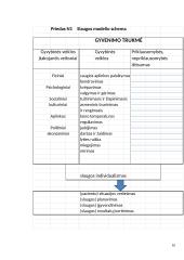 Dorothea Orem slaugos modelis 10 puslapis