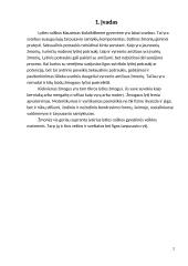 Lyties raiškos veikla 2 puslapis