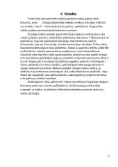 Lyties raiškos veikla 11 puslapis