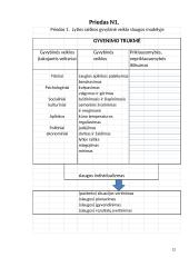 Lyties raiškos veikla 12 puslapis