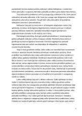 Lyties raiškos veikla 6 puslapis