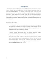 Pagrindiniai darbo su duomenų baze "Microsoff Access" principai 11 puslapis