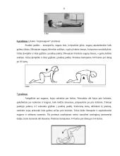 Fizinė saviugda - pratimai 6 puslapis
