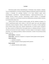 Sociogramos  2 puslapis