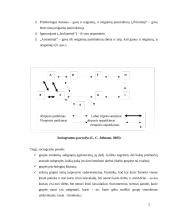 Sociogramos  5 puslapis