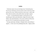 Gaisrai buityje. Padariniai ir priežastys 2 puslapis