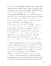 Gaisrai buityje. Padariniai ir priežastys 12 puslapis