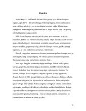 Gaisrai buityje. Padariniai ir priežastys 16 puslapis